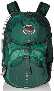 Osprey Manta AG 36 Spruce Green